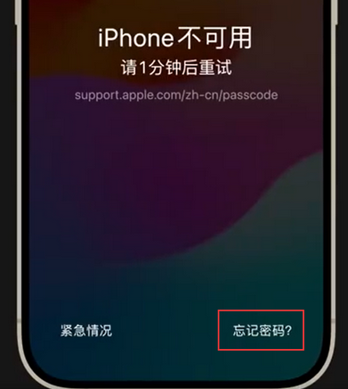 隰县苹果手机密码维修分享iPhone忘记了刚设置的密码 